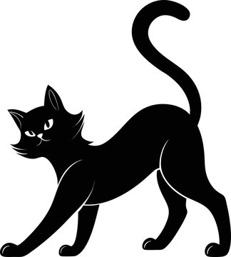 black cat vector illustration