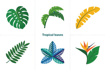Exotic palm and fern leaf icons, monstera philodendron banana frond variations, lush tropical foliage pack, decorative botanical elements for design