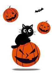 halloween pumpkin with black cat halloween pumpkins fly.
