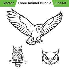 Collection of Owl Illustrations in Three Distinct Line Art Poses