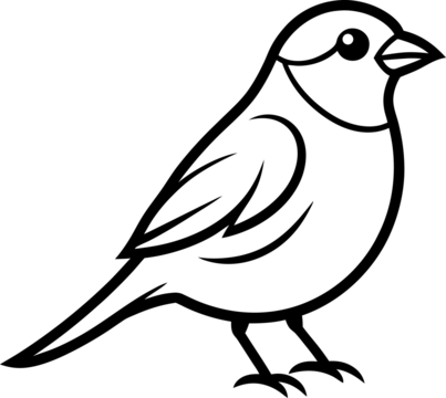 vector illustration of dove