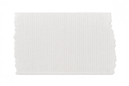 Torn white rectangular paper with textured surface, floating against transparent backdrop, offering clean workspace for personalized content