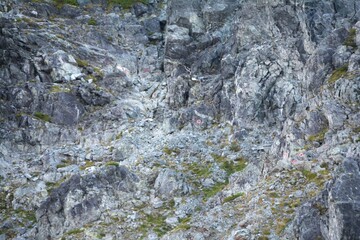 剱岳・早月尾根の山頂直下の岩稜帯