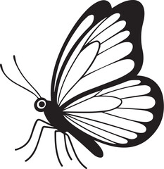 Fototapeta premium Butterfly Illustration Butterfly SVG EPS