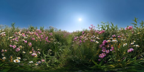 Obraz premium Nature's vibrant flowers 360 degree hdr panorama