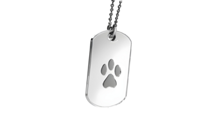 A transparent background features a dog tag, representing the significance of Veterans Day and Remembrance Day