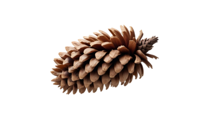 A solitary pine cone displayed on a transparent background, evoking the essence of late autumn nature