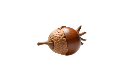 A close-up of an acorn set on a transparent background, evoking late autumn's natural beauty