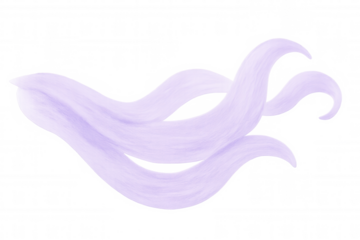 Wavy lavender hair extensions isolated on transparent background, ideal for beauty and fashion projects