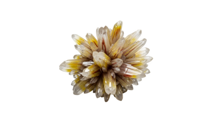 A cluster of yellow and white quartz crystals isolated on transparent background, showcasing its natural beauty, geological formation, and potential healing properties