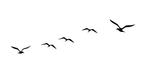 Silhouettes of seagulls flying in formation against a black sky