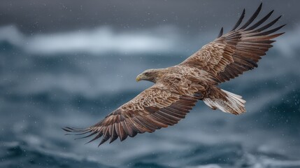 A majestic eagle soars over turbulent waters, showcasing its impressive wingspan against a backdrop of a stormy sky.