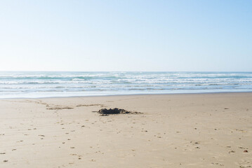 View of pacific ocean from an empty sandy beach with small waves in a distance on a clear calm sunny day in summer. 