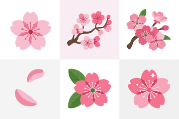 Fototapeta premium Pink sakura blossom illustration with floral design, cherry flower and spring branch graphics, seasonal garden and natural bloom art, decorative vector set