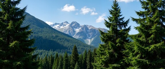 view from the top of the mountain