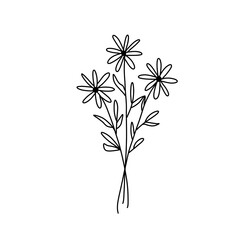 Hand drawn flower illustration