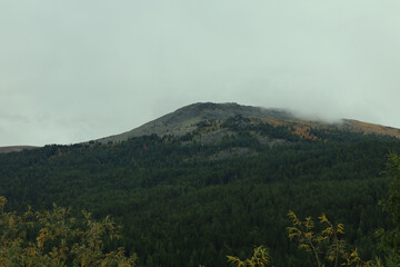 Foggy Mountain Landscape Surrounded by Lush Forest