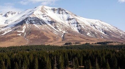 mount rainier national park