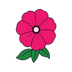 Petunia Flower Illustration on White Background