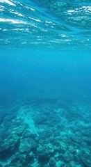 Fototapeta premium A vibrant underwater scene showcases a coral reef in brilliant turquoise water.