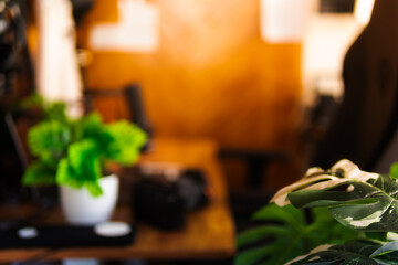 Modern desk setup background featuring computer, plants, and cozy warm lighting. Perfect for...