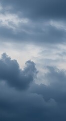 Fototapeta premium A vast expanse of dark, gray clouds fills the sky, creating a dramatic and somber atmosphere.