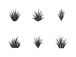 Collection of Black Silhouette Grass Clumps on a White Background Graphic Resource for Designers and Illustrators Fresh and Vibrant Design