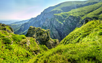 Beautiful summer landscape in the mountain