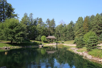 lake in the park
