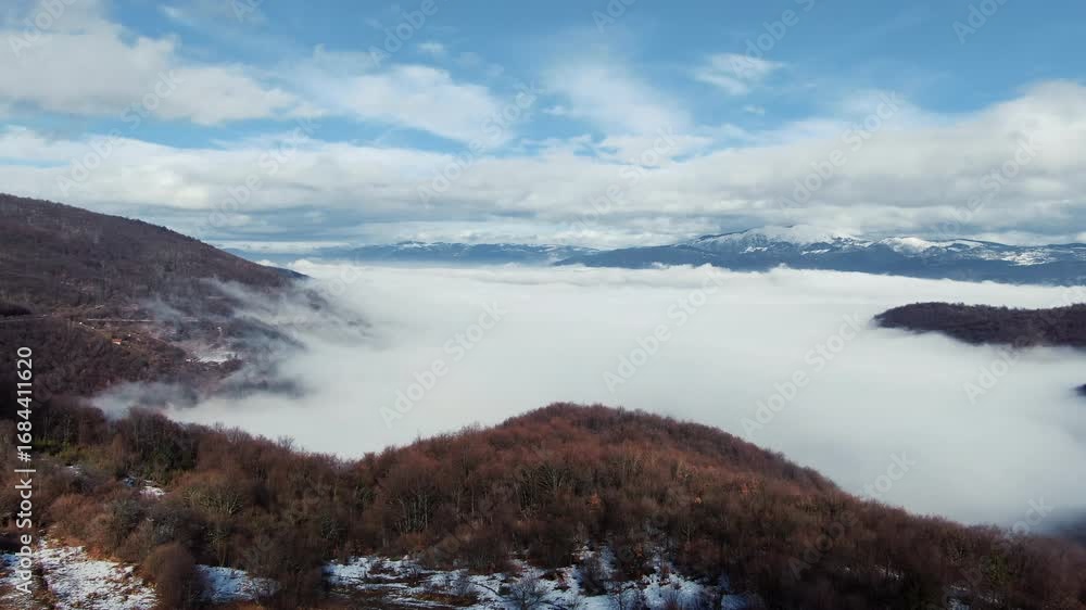 Poster a view of land with trees and snow covered mountains in the distance there is also a layer of clouds
