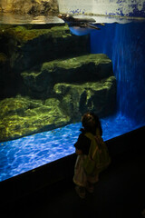 Fototapeta premium 水族館で泳ぐペンギンと観覧する人々