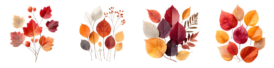 Fototapeta premium Autumn Leaves Collection - Colorful Fall Foliage on White Background