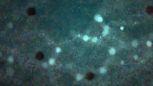 Dark teal background with small black and bright particles Suitable for science technology abstract design and digital themes