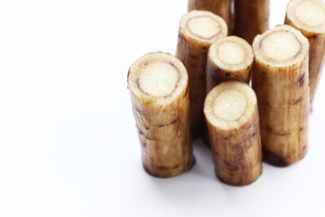 Fresh burdock roots or gobo roots