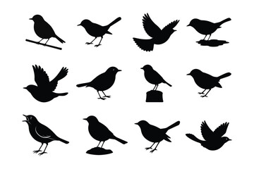 Obraz premium Robin silhouette vector illustration, Black Robin silhouette vector bundle 