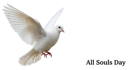 A pure white dove with spread wings, symbolizing peace, hope, and freedom. This image captures the essence of tranquility and serenity, with the dove's graceful flight conveying a sense of liberation