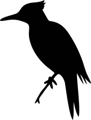 Woodpecker Silhouette Vector Illustration | Bird Wildlife Forest Animal Design