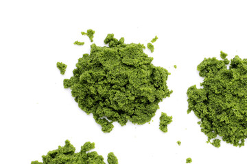 Obraz premium Fresh water alga, water meal or swamp algae