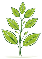 Fototapeta premium Illustration of a vibrant green plant with leaves and buds isolated on a white background. Vector graphic plant element.