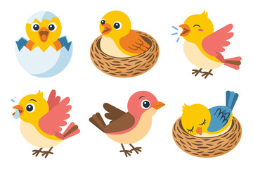 Cute songbird vector illustrations, colorful small birds perched on branches, nesting pairs, flight poses, decorative nursery graphics