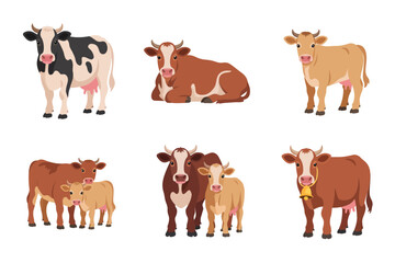 Farm cow vector illustrations, standing cattle herd, calf and bull characters, rural agriculture concept, domesticated livestock animal graphics