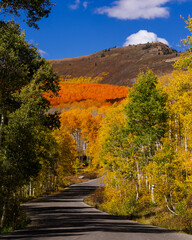 Scenic landscape of Wasatch mountain state park and Pine Canyon drive in Utah in autumn time.