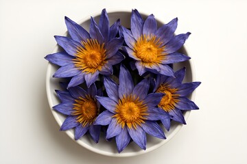 Dried Blue Lotus Flowers (Nymphaea caerulea) in a White Bowl, Top-Down View