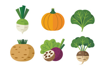 Fresh vegetable icons, pumpkin daikon turnip lotus root cabbage radish set, healthy farm harvest, organic produce illustrations