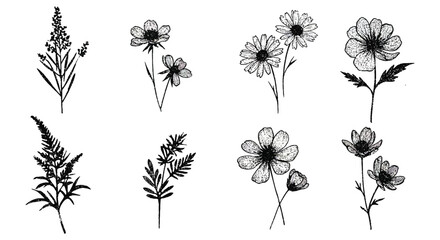 Fototapeta premium various botanical illustrations featuring flowers and plants