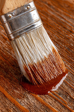 applying shellac over stian in wood table with a brush. AI generative.