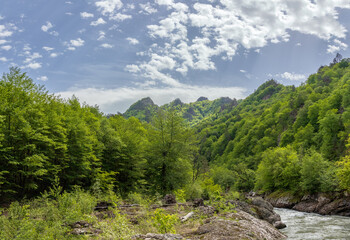 a mountain river and the surrounding area with woodlands and clearings with paths