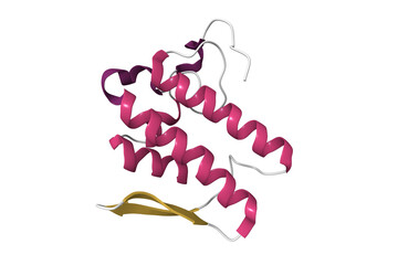 Crystal structure of phospholipase A2. 3D cartoon model, pdb 6kqu, secondary structure color scheme