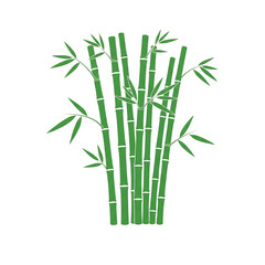 Fototapeta premium A simple 3D vector illustration of green bamboo stalks and leaves, perfect for nature, Zen, and Asian-themed designs.