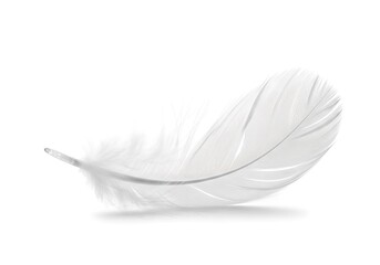 Obraz premium Delicate White Feather Isolated on a Clean, Bright Background with Subtle Shadow